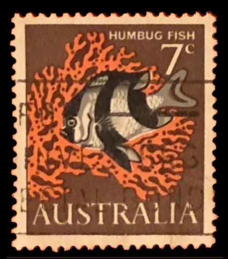 SOLD OUT - 1966_Australia_ Humbug Fish _7c