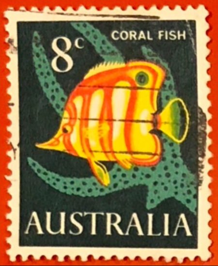 SOLD OUT - 1966_Australia_' Coral Fish '_8c _Unwmk._Stamp