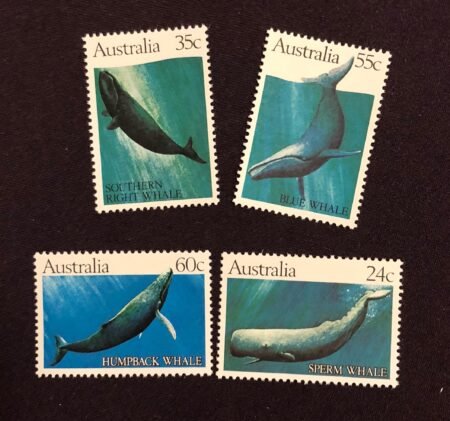 SOLD OUT - Australia Whale Set Stamp